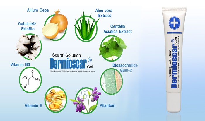 dermioscar4 Các thành phần trong Dermioscar