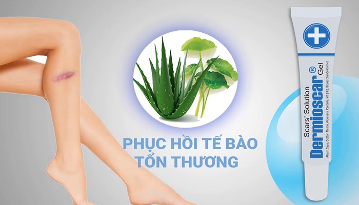 dermioscar5 Tác dụng tuyệt vời của Dermioscar trong trị sẹo, nám, tàn nhang