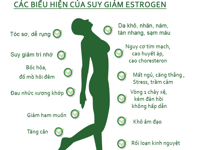 Các dấu hiệu suy giảm, estrogen