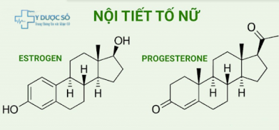 phụ nữ hay buồn ngủ