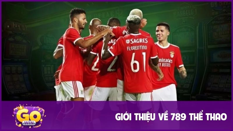 Giới thiệu đôi nét thông tin về 789 thể thao